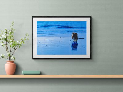 Un tableau photo dans votre entrée